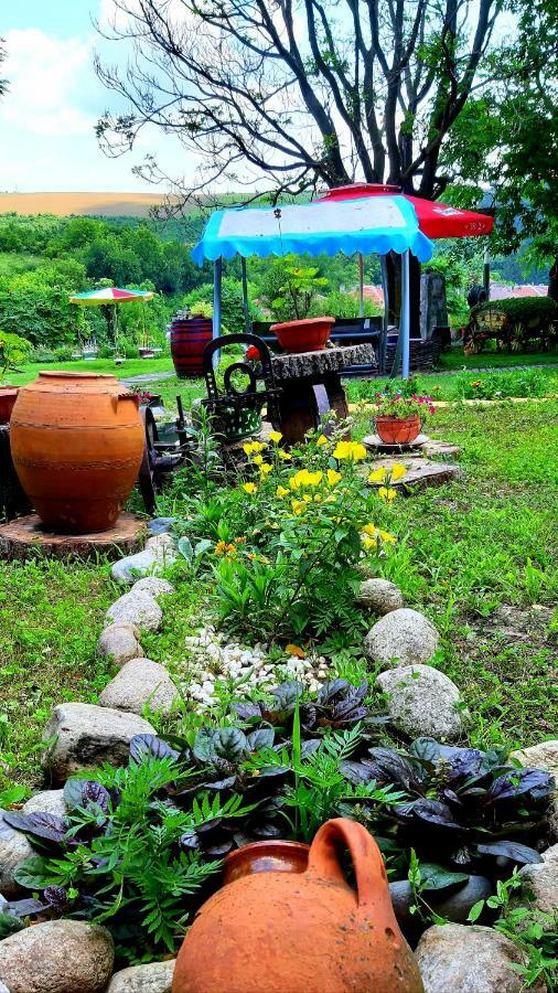 Guest House Kosharite Byala  Ngoại thất bức ảnh